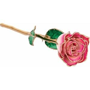 Lacquered Cream Magenta Rose with Gold Trim